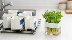 牛乳パックがかさばらない再利用術2選、豆苗リボベジと伸縮仕切りで時短収納